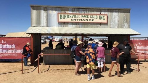 Gallops_Birdsville_4-3_14683917_1887884_