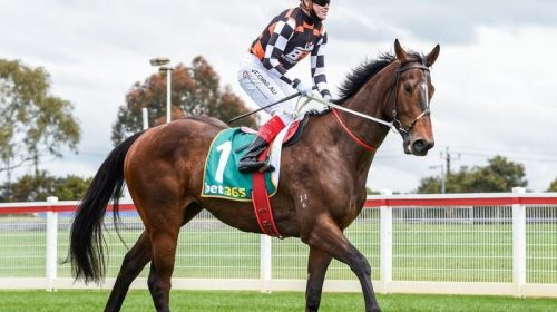 Gallops_Flemington_4-3_20057007_2042154_