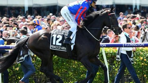 Gallops_Prince_4-3_17519055_1978290_2019