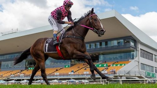 Gallops_Rothfire_4-3_18255141_1998012_20