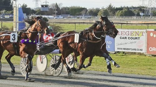 Harry-H-Blog__ResizedImageWzYwMCwzNzld-5