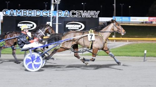 Sky-delight-cambridge-blog-image__Resize