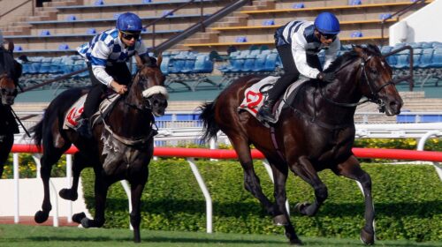 1_20210914-ST-Batch-8_KJC0416J-scaled-1-