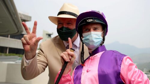 20210912_Purton_leadimage-scaled-1-500x2