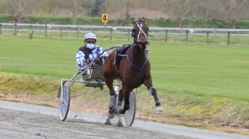 Brad-williamson-simone-lindenny-blog-ima