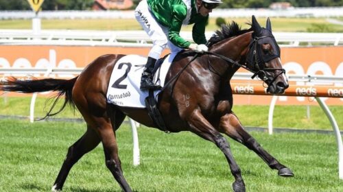 CAULFIELD_4-3_20420049_2050056_202102181