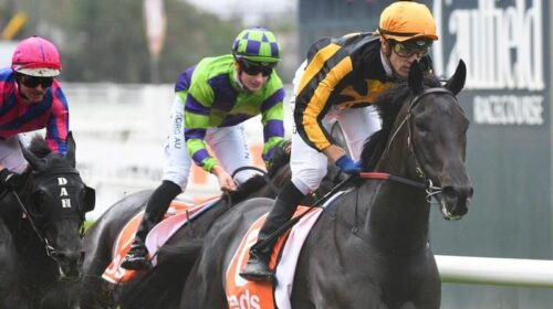 Caulfield_Nonconformist_4-3_18051923_199