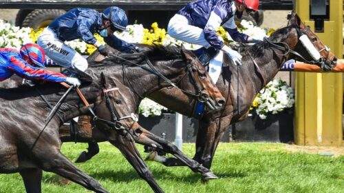 Cup_4-3_19816193_2036654_202011031611123