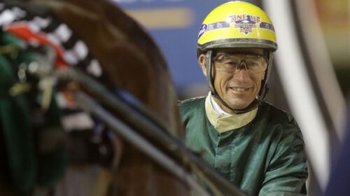 David-Butcher-blog-image-for-2500__Resiz