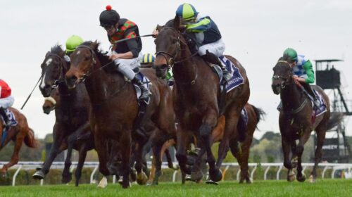 Defibrillate-Reg-Ryan-scaled-1-500x280.j