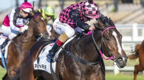 Rosehill_4-3_19564937_2031087_2020092414