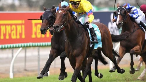 Stradbroke_Vega_4-3_18878866_2013852_202