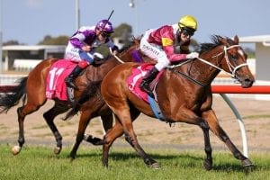 Loving Home wins 2017 Port Macquarie Cup for team Waller