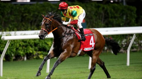 1_20210915_HV_R8_50V5204p-scaled-1-500x2