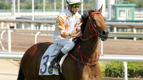 1_20211015_LeadPicWishfulThinker-scaled-