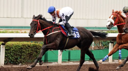 1_29.10.2021-ST-Courier-Wonder-JCX32862o