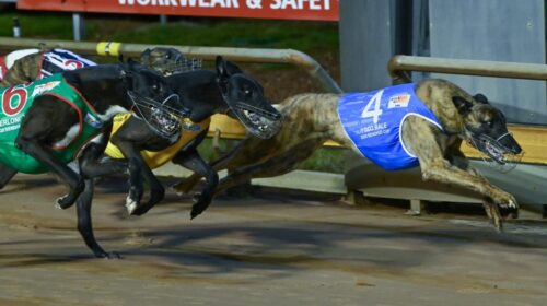 2020-Bendigo-Cup-finish-1024x683-1-500x2