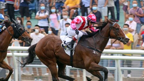 20211001-LeadPicNationalDay-scaled-1-500