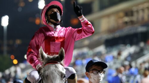 20211027-RuanMaiaPic2-scaled-1-500x280.j