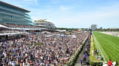 Cup_Crowd_4-3_17497186_1977687_201911051