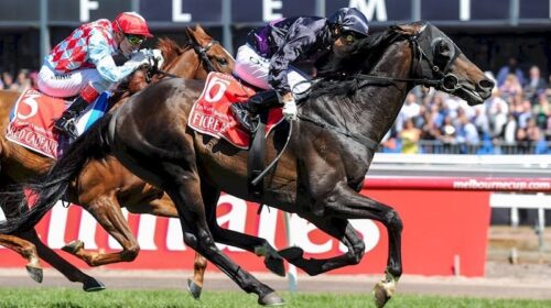 Fiorente-500x280.jpg