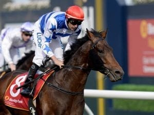 Harlem out to book Melbourne Cup spot