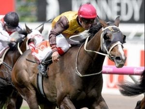 Main Stage on target for Victoria Derby