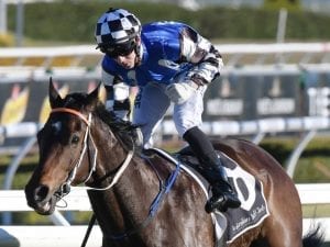 Tactical has advantage at Randwick