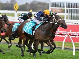 Three Guineas hopes for Busuttin and Young