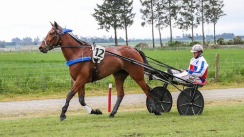 Love-Rose-Blog__ResizedImageWzYwMCwzNzld