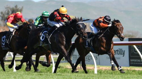 MANA-NUI-HAWKES-BAY-GUINEAS-2-10-2020-PH