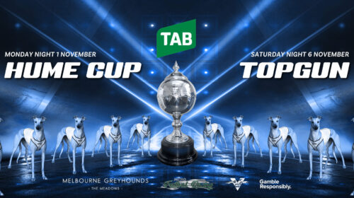 MGRC_HumeCup_TopGun_Digitals_GRV-Web-Sli