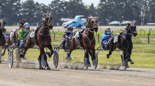 Muscle-Mountain-Ashburton-Trotters-Blog_