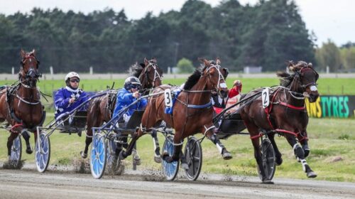 Self-Assured-Ashburton-Blog__ResizedImag