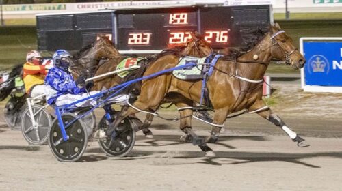 Spellbound-wins-ballarat-blog-image__Res