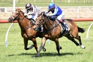 Emily Margaret out to maintain winning groove
