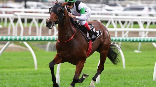 Tutukaka-Eagle-Farm-26.6.21-Grant-Peters