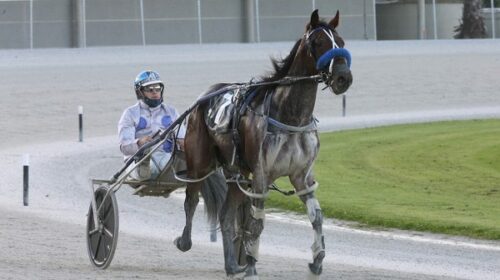 Ultimate-Missile-Blog__ResizedImageWzYwM