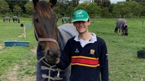 Wilson-House-blog-image__ResizedImageWzY