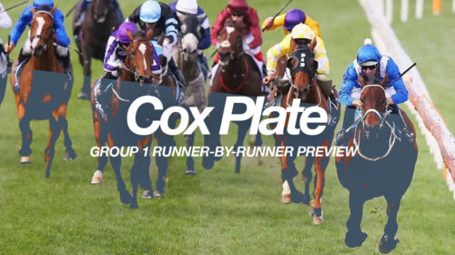 cox-plate-rbr-500x280.jpg