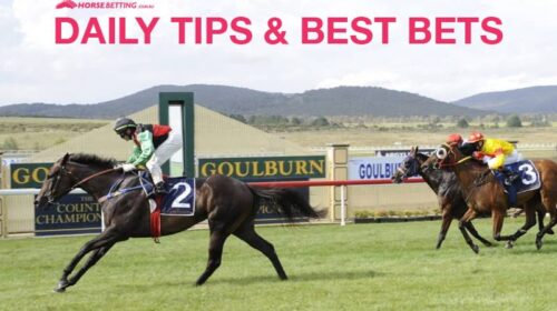goulburn-tips-500x280.jpg