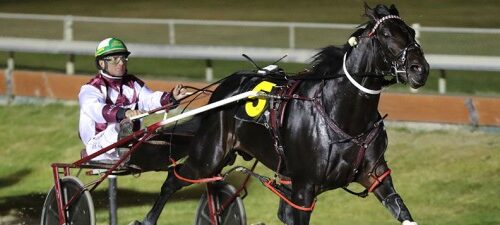 krug-action-wins-Vero-blog-2021-v3__Resi