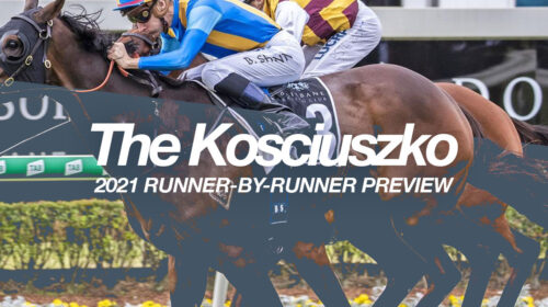 rbr-Kosciuszko-500x280.jpg