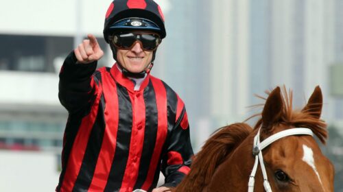 1_2018-2-25-ST-R8-A50V2054p-scaled-1-500