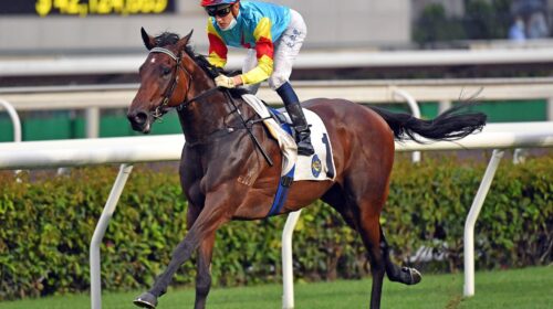 1_20210502-ST-R111-Horse-shot-ORL_5944o-