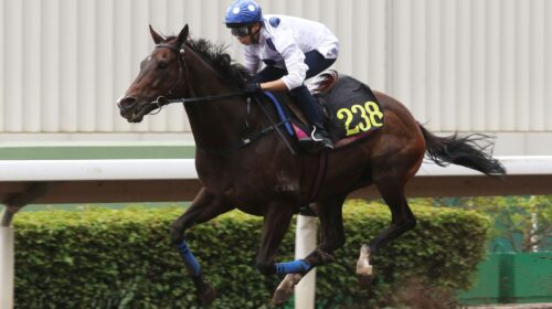 1_20211102-ST-Golden-Sixty-IMGL6232sk-sc