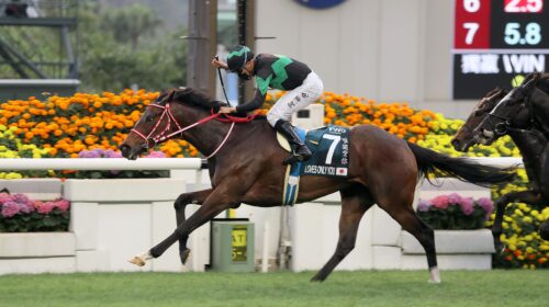 2021-JPN-LovesOnlyYou-scaled-1-500x280.j