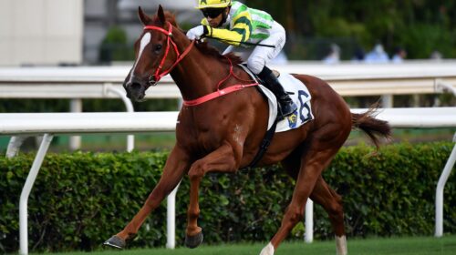 20210711-ST-R11-ORL_6454o-scaled-1-500x2