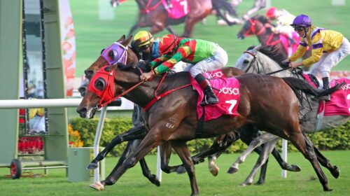 20211107_7NovemberPIC1-scaled-1-500x280.