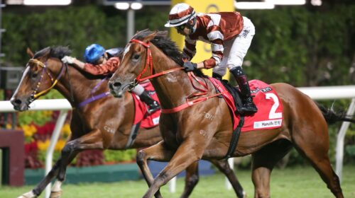 2021110_SightSuccessLead-scaled-1-500x28